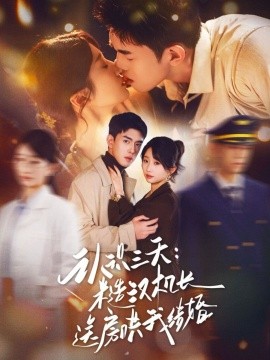 认识三天：糙汉机长送房哄我结婚（71集）王天昊&田欣雅 (2026)-58创客