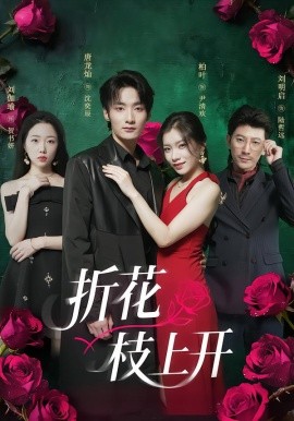 折花枝上开（51集）唐龙灿＆柏叶 (2026)-58创客