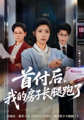 首付后，我的房子长腿跑了（60集）耿池苏＆江海 (2026)-58创客