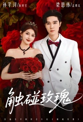 触碰玫瑰＆凌晨四点半，玫瑰花未眠（80集）梁思伟＆孙芊浔 (2026)-58创客