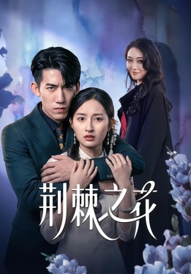 荆棘之花（100集）杨可忻&范哲宇 (2026)-58创客