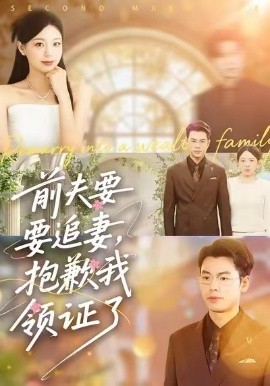 前夫要追妻，抱歉我领证了（81集）柏欢洲&刘煜烨 (2026)-58创客