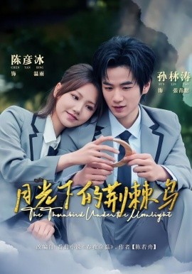 月光下的荆棘鸟（80集）陈彦冰＆孙林涛 (2026)-58创客