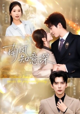 南风知意深（40集）冯思源＆严雯丽 (2026)-58创客