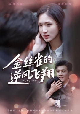 金丝雀的逆风飞翔（80集）廖帕姿&曹润辉 (2026)-58创客