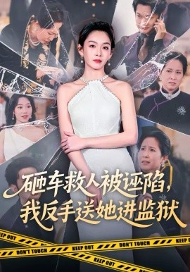 砸车救人被诬陷，我反手送她进监狱（61集）赵安第＆火鑫 (2026)-58创客