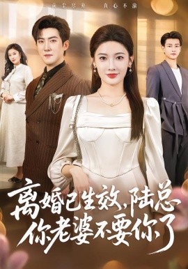 离婚已生效，陆总你老婆不要你了（61集）赵阿东＆沈玥妡 (2026)-58创客