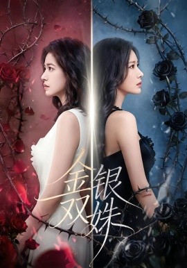 金银双姝（80集）王艺霏&徐霄 (2026)-58创客