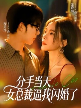 分手当天，女总裁逼我闪婚了（72集）张晓楠＆程勇炜 (2026)-58创客