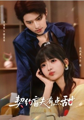 契约盲夫有点甜（63集）张庭睿＆莉莉崽 (2026)-58创客