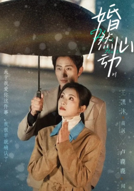 婚然心动时（82集）王凯沐&卢鹿鹿 (2026)-58创客