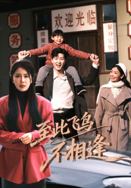 到此飞鸟不相逢（70集）王鹏&丁海霞 (2026)-58创客