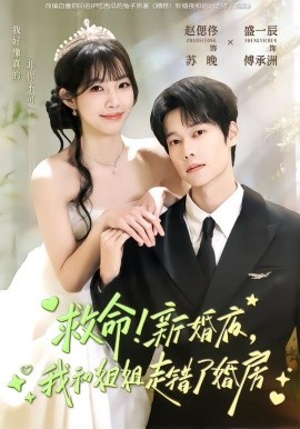 救命！新婚夜，我和姐姐走错了婚房（58集）盛一辰＆赵偲佟 (2026)-58创客