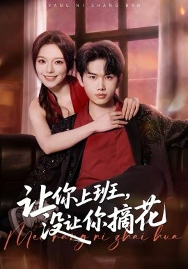 让你上班，没让你摘花（70集）王凯波&王若妍&陈有晴 (2026)-58创客