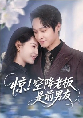 惊！空降老板是前男友（65集）董洁&王金泽 (2026)-58创客