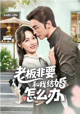 老板非要和我结婚怎么办（50集）王博&李媛菁 (2026)-58创客