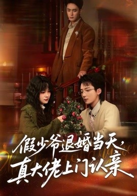 假少爷退婚当天，真大佬上门认亲（50集）刘海燕&周宇航 (2026)-58创客