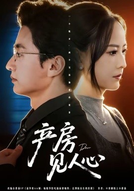 产房见人心（98集）珑一＆任燕 (2026)-58创客