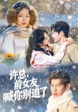 许总，前女友喊你别追了（80集）王淮璟＆麦伢 (2026)-58创客