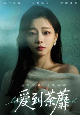 爱到荼蘼（63集）彭静＆张振东 (2026)-58创客