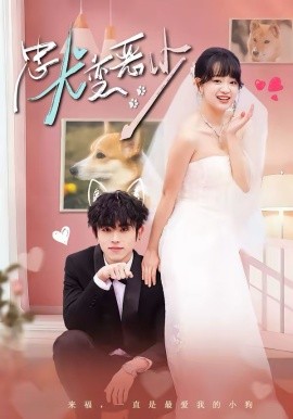 惊！我家来福变恶少了＆忠犬变恶少（80集）曹竣柯＆赵影 (2026)-58创客