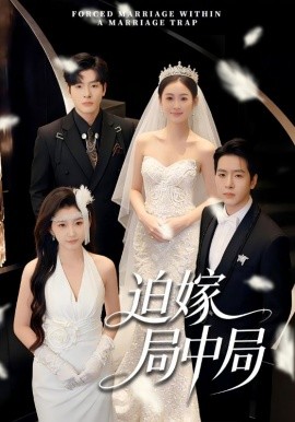 迫嫁局中局（70集）刘云禹＆王雅妮 (2026)-58创客