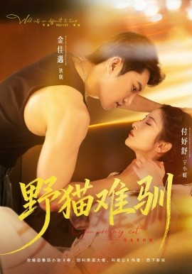 野猫难驯（73集）金佳遇＆付妤舒 (2026)-58创客