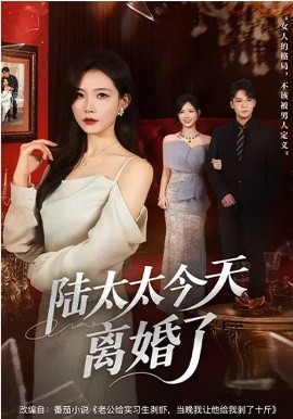 陆太太今天离婚了（59集）刘灿&丁敬一 (2026)-58创客