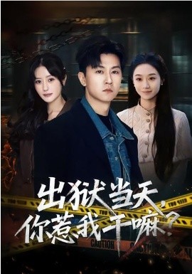出狱当天，你惹我干嘛？&出狱当天你惹我干嘛（62集）王鹏&郑皓月 (2026)-58创客