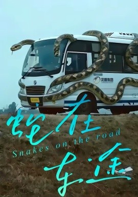 蛇在车途（34集）何子茜＆熊月良 (2026)-58创客