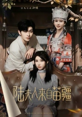 陆夫人来自苗疆（70集）毛致远＆王勉 (2026)-58创客