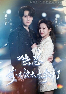 陆总，你又被太太算计了（70集）孙艺荀＆董玥妤 (2026)-58创客