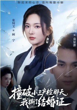 撞破小三产检那天，我撕了结婚证（70集）张炯艾&李思杨 (2026)-58创客