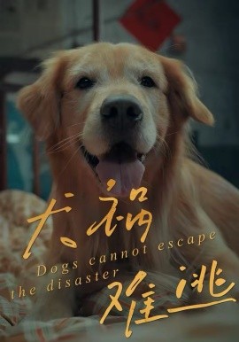 犬祸难逃（33集）刘丹＆青哥 (2026)-58创客