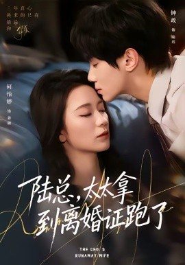 陆总，太太拿到离婚证跑了（86集）钟政＆何依婷 (2026)-58创客