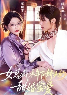 女总裁和年下娇夫的甜婚蜜爱（68集）闻至承＆董瑷宁 (2026)-58创客