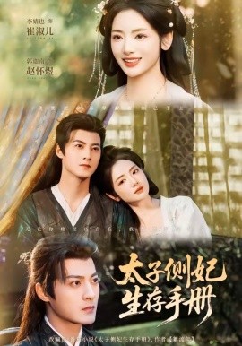 太子侧妃生存手册（63集）郭迦南＆李婧也 (2026)-58创客