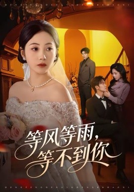 等风等雨，等不到你（65集）陈京霖＆曾和惠子 (2026)-58创客