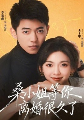 桑小姐，等你离婚很久了（70集）李泉成＆王子甲 (2026)-58创客