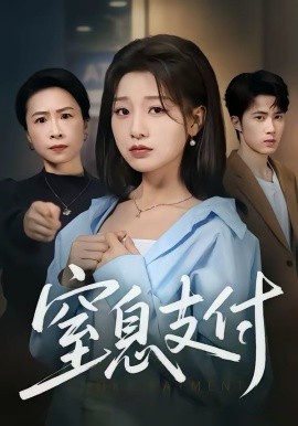 窒息支付(70集)陈子昂&王倩 (2026)-58创客