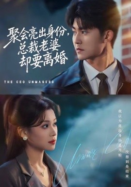 聚会亮出身份，总裁老婆却要离婚（81集）梅子健＆任柏玉 (2026)-58创客