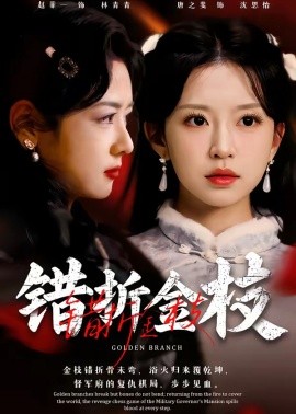 错折金枝（46集）金泽元＆唐之斐 (2026)-58创客