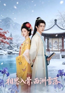 相思入骨，西洲雪落（58集）AI短剧 (2026)-58创客