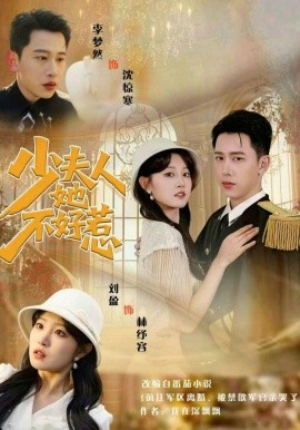 少夫人她不好惹（69集）李梦然＆刘盈 (2026)-58创客