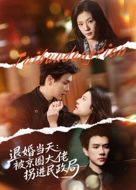 退婚当天：被京圈大佬拐进民政局（80集）唐子璇&梦龙 (2026)-58创客