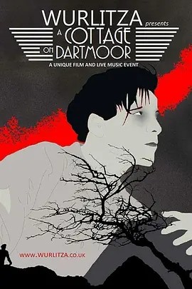 达特穆尔的小屋 (1929)丨8.0分丨英国影史百佳电影之一 无对白中字-58创客网