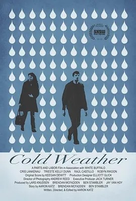 冷天气 (2010)丨6.4分丨洛迦诺国际电影节 金豹奖(提名) 英语中字-58创客网