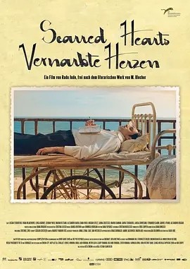 心痕如诗 (2016)丨7.5分丨洛迦诺电影节金豹奖提名 拉杜·裘德导演作品 罗马尼亚语中字-58创客网