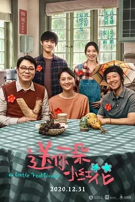 送你一朵小红花 (2020)丨7.2分-58创客网