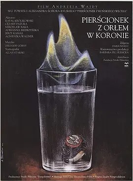 鹰冠戒指 (1993)丨安杰伊·瓦伊达导演作品 波兰语中字-58创客